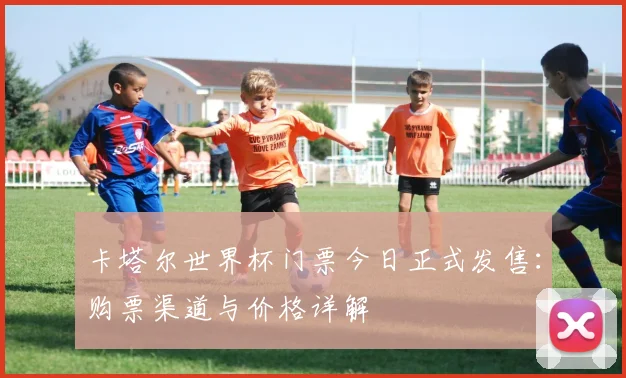 卡塔尔世界杯门票今日正式发售:购票渠道与价格详解