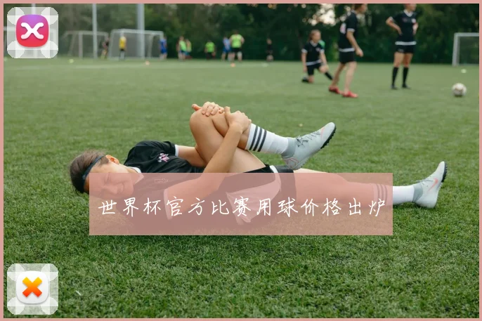 世界杯官方比赛用球价格出炉