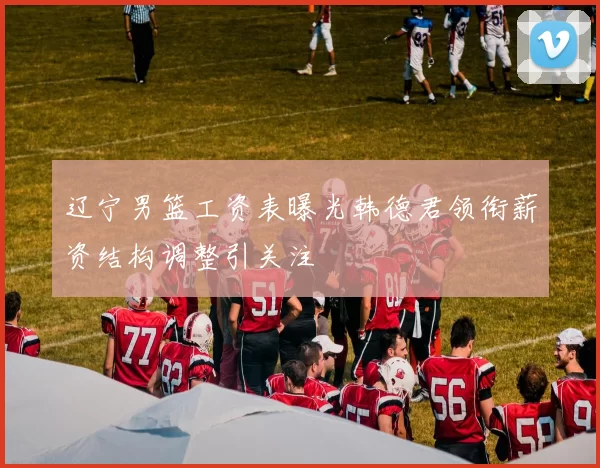 辽宁男篮工资表曝光韩德君领衔薪资结构调整引关注