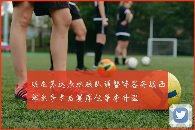 明尼苏达森林狼队调整阵容备战西部竞争季后赛席位争夺升温