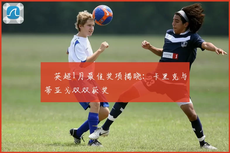 英超1月最佳奖项揭晓:卡里克与蒂亚戈双双获奖