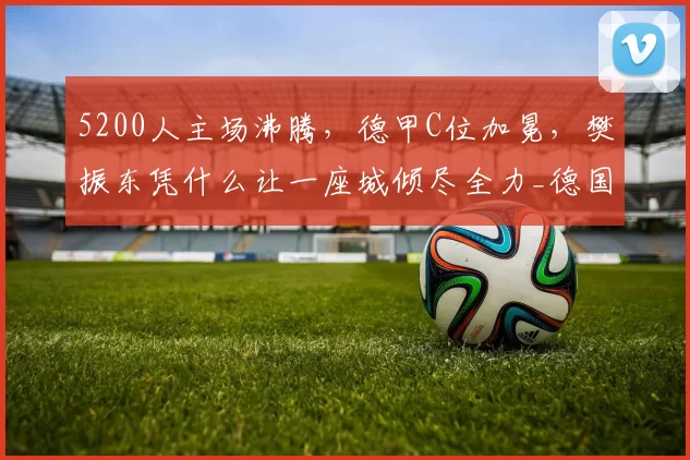5200人主场沸腾，德甲C位加冕，樊振东凭什么让一座城倾尽全力_德国_城市_中国