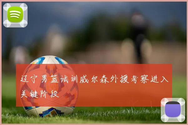 辽宁男篮试训威尔森外援考察进入关键阶段