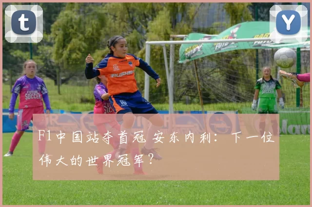 F1中国站夺首冠 安东内利：下一位伟大的世界冠军？