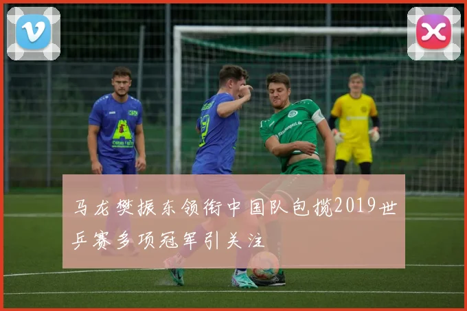 马龙樊振东领衔中国队包揽2019世乒赛多项冠军引关注
