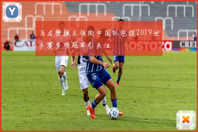 马龙樊振东领衔中国队包揽2019世乒赛多项冠军引关注