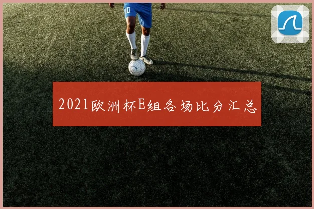 2021欧洲杯E组各场比分汇总